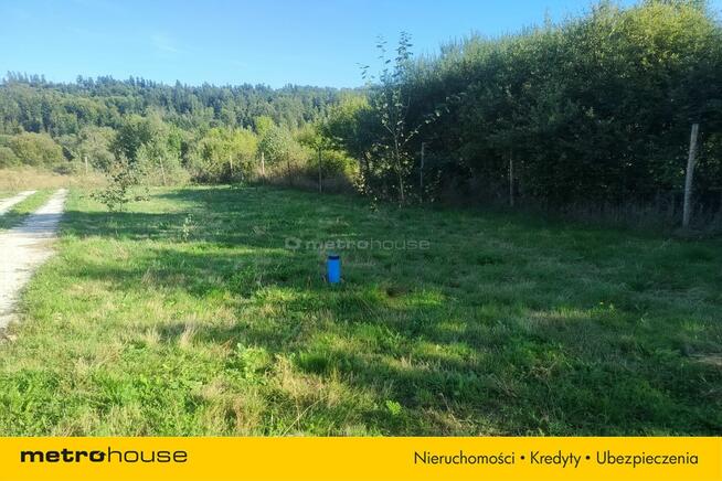 Duża działka z widokiem na Masyw Śnieżnika