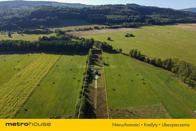 Duża działka z widokiem na Masyw Śnieżnika