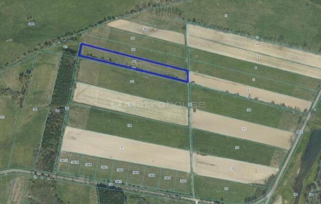 Duża działka z widokiem na Masyw Śnieżnika