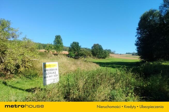 Działka budowlana w otoczeniu zieleni w Raszkowie