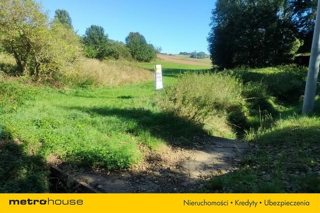 Działka budowlana w otoczeniu zieleni w Raszkowie