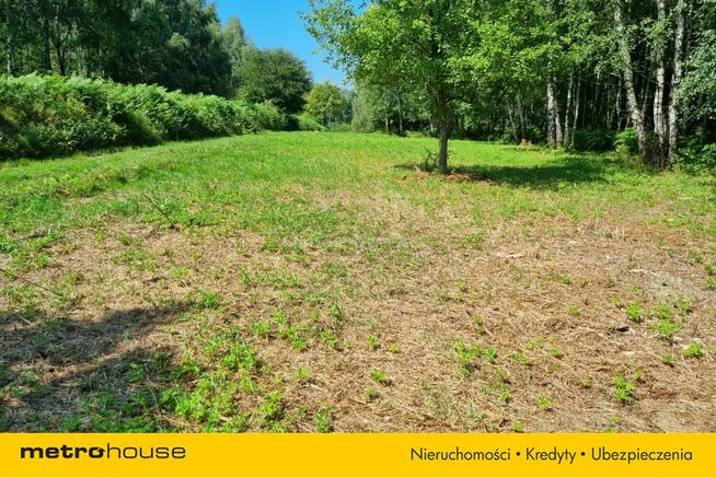 Działka budowlana w lesie! Zamieszkaj w naturze.