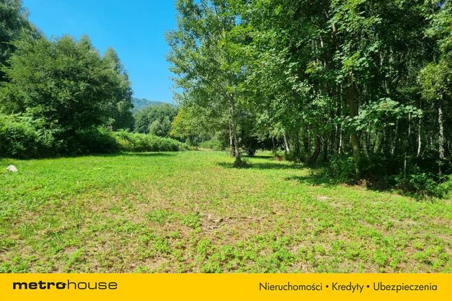 Działka budowlana w lesie! Zamieszkaj w naturze.