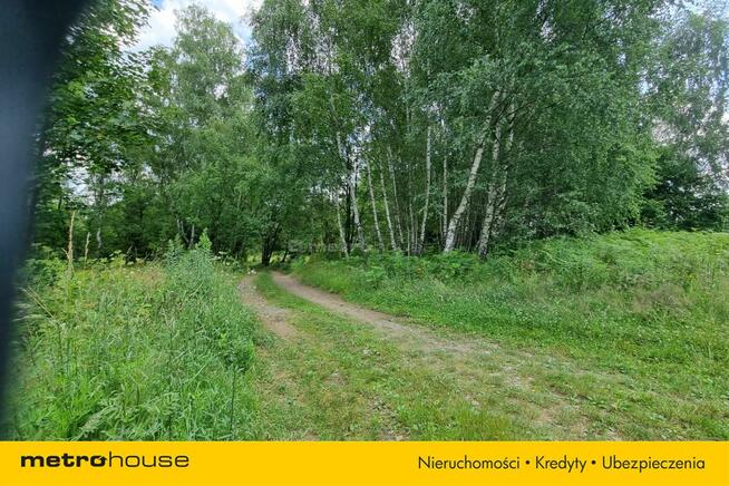 Działka budowlana w lesie! Zamieszkaj w naturze.