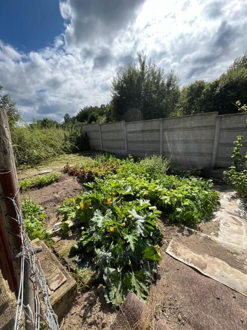 Kapice | Dom z Linią Brzegową | 400m² | Premium