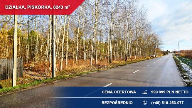 Atrakcyjna działka przy lesie z doskonałym dojazdem | 8243 m² | Piskórka