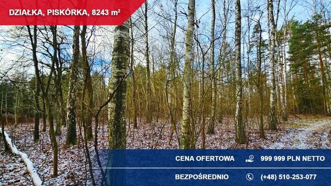 Atrakcyjna działka przy lesie z doskonałym dojazdem | 8243 m² | Piskórka