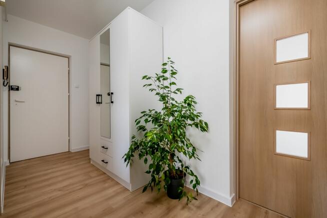 Mieszkanie Białystok Dziesięciny, Palmowa