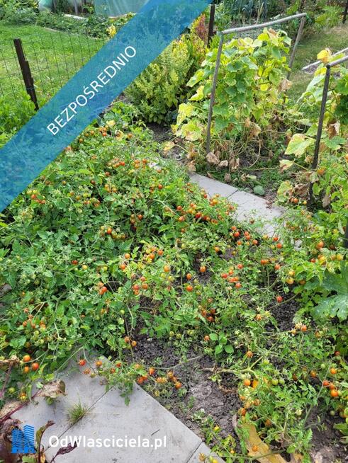 Działka ROD Mickiewicza