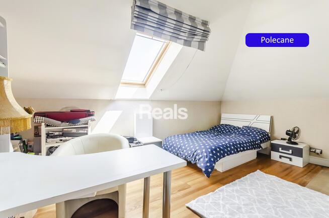 Lux dom wolnostojący z lokalem usługowym