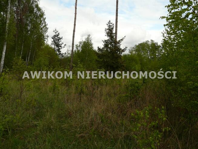 Działka siedliskowa Joachimów-Mogiły gm. Bolimów