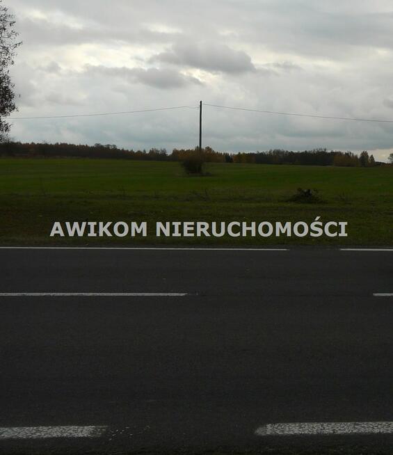 Działka siedliskowa Lisowola gm. Puszcza Mariańska