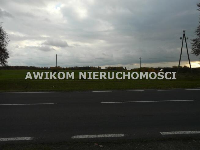 Działka siedliskowa Lisowola gm. Puszcza Mariańska