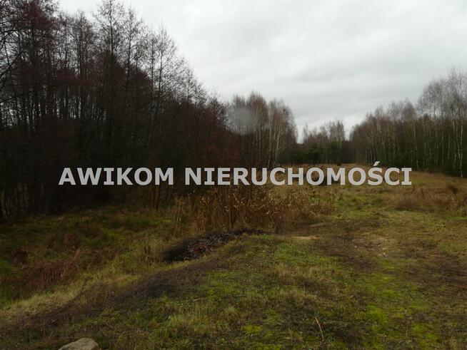 Działka rolna Skierniewice