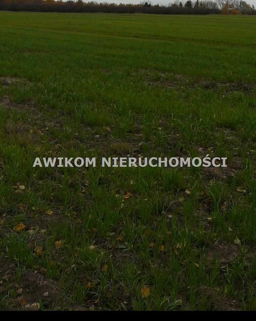 Działka siedliskowa Stary Łajszczew gm. Puszcza Mariańska