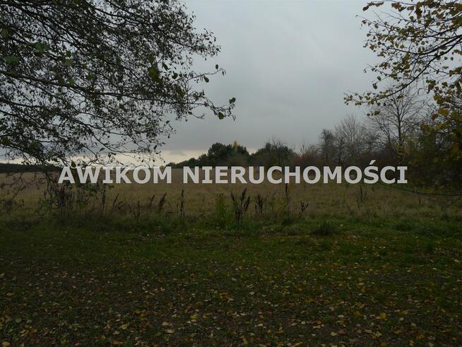 Działka siedliskowa Puszcza Mariańska Stary Łajszczew