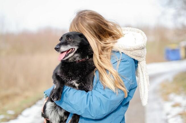 Patyk - wesoły, mały psiak szuka domu!