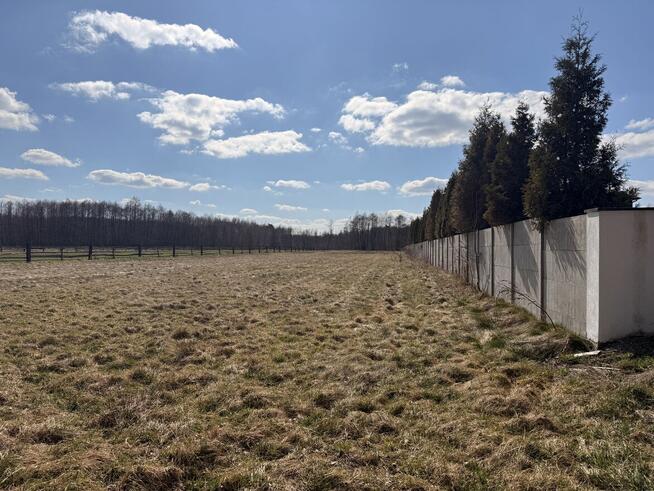 Działka z warunkami zabudowy – Strużki, gm. Osiek