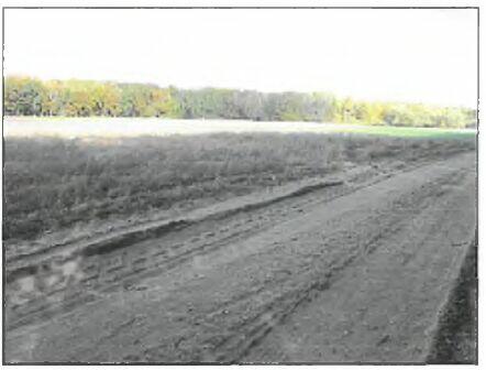 Na sprzedaż: Atrakcyjna działka rolna 1,99 ha – Chocim, gm.