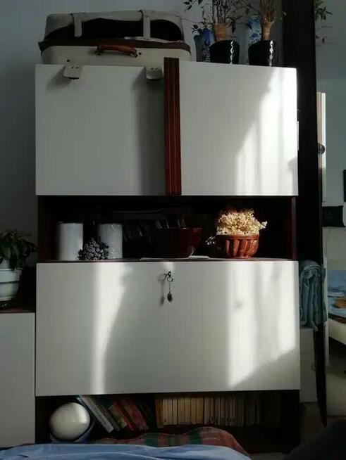 szafa / witryna z oświetleniem oraz barek za dodatkowe 90 zł