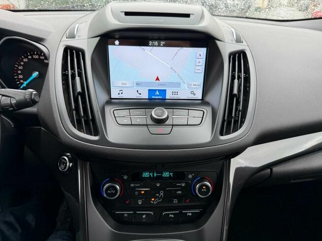 Kuga pierwsza ręka
