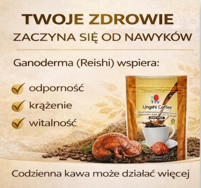 Twoja droga do sukcesu - atrakcyjna współpraca !!!