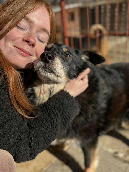 Dżeki - łagodny, spokojny, niekonfliktowy psiak
