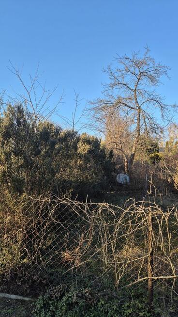 Wiosenne porządki i sprzątanie działek Białystok i okolice