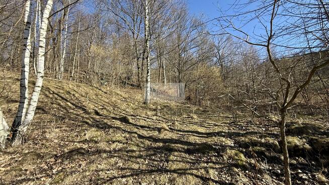 Działka Gruszków gm. Mysłakowice