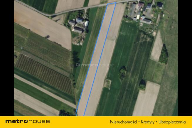 Działka siedliskowa 1.2 ha Rowiska