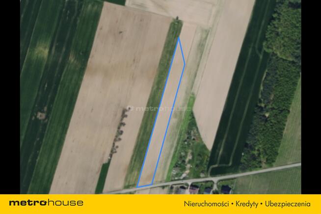 Działka siedliskowa z planem zagosp. Rowiska