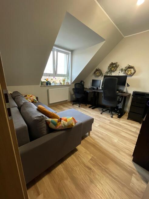 Segment | ogród 200 m² | niska zaliczka