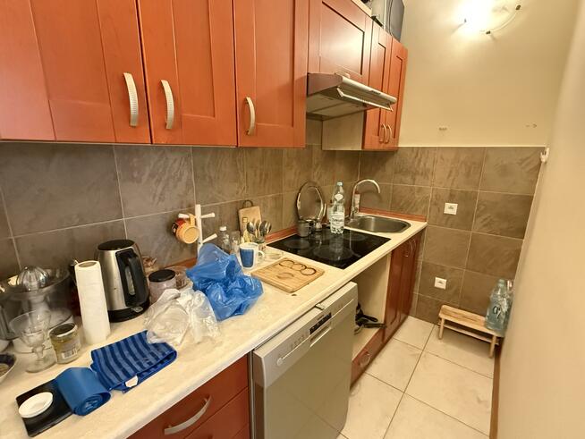 Mieszkanie Opole, Rynek