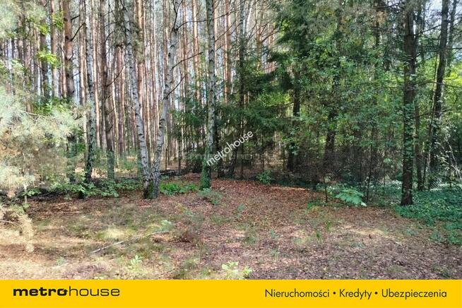 OtwockMlądz: przestronna działka z potencjałem