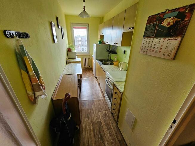 Wynajmę mieszkanie , Al. Wilanowska