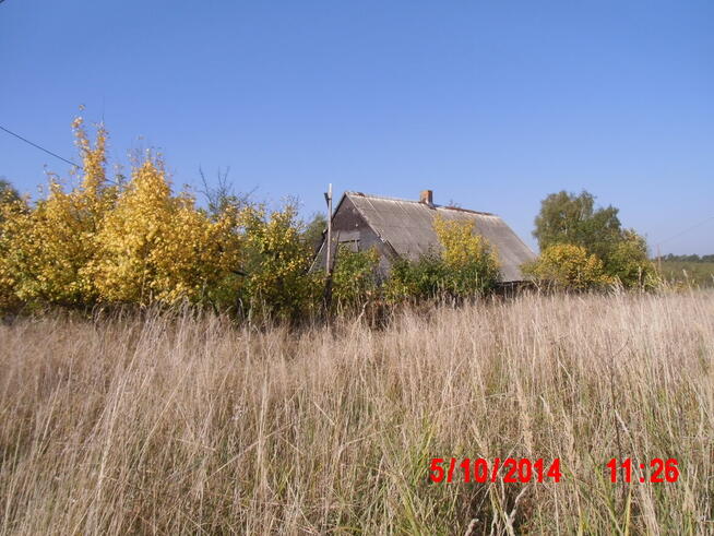 sprzedam dzialke rolną