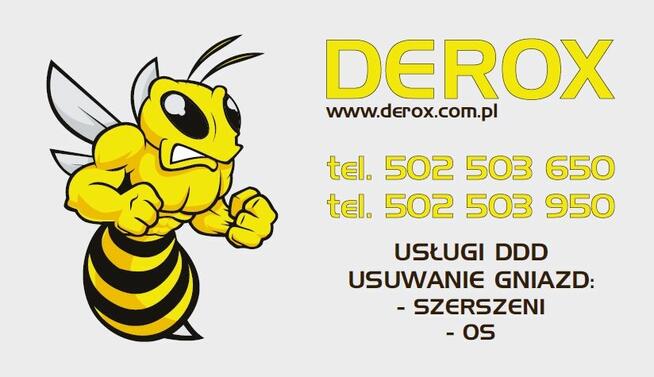 Usuwanie gniazd os i szerszeni – Bydgoszcz i okolice