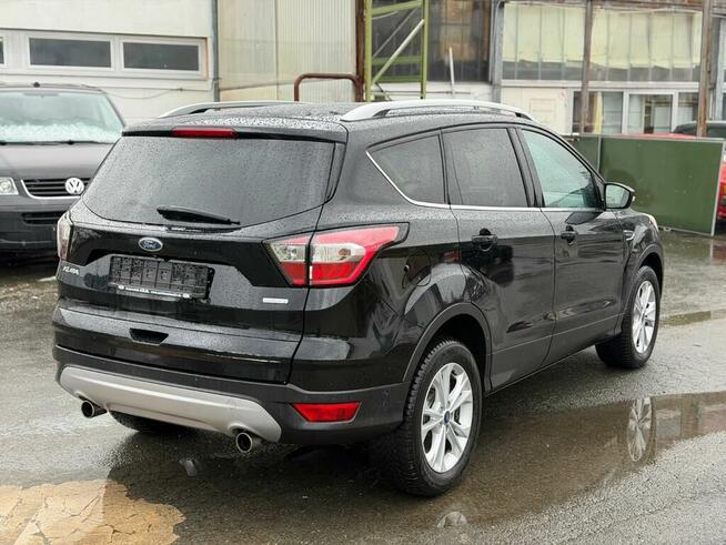 Kuga pierwsza ręka