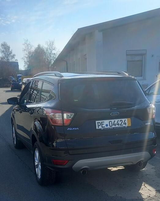 Kuga pierwsza ręka
