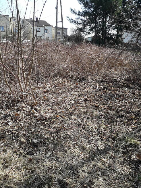 Koszenie Trawy, Wycinka , inne - Będzin/Czeladź/Okolice