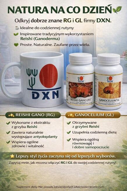 Twoja droga do sukcesu - atrakcyjna współpraca !!!