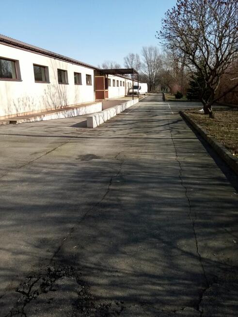 Hala magazynowo - produkcyjna do wynajęcia - 600 m²