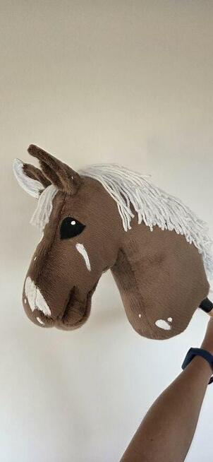 Hobby horse