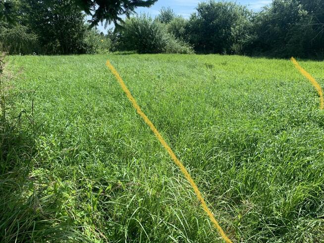 Działka ROD blisko morza – Trzebiatów | 438 m² | OKAZJA