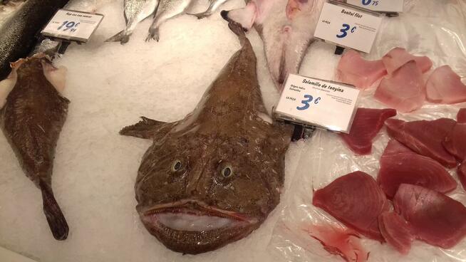 Hiszpania 11-18.09.Costa Brava Calella Wczasy z wycieczkami