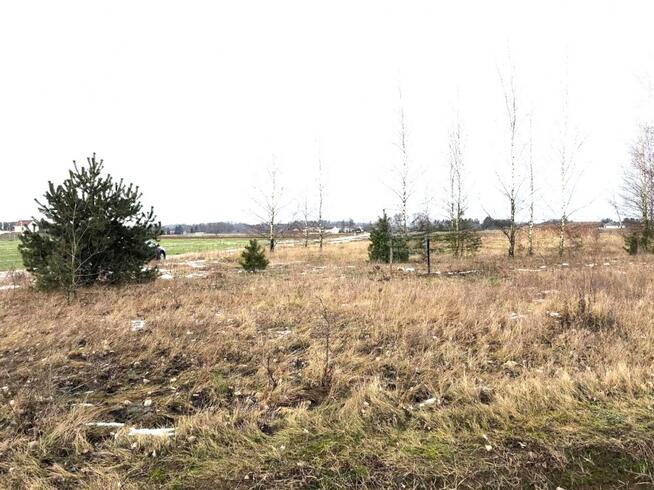 Na sprzedaż działka rolna , 70 km od Warszawy