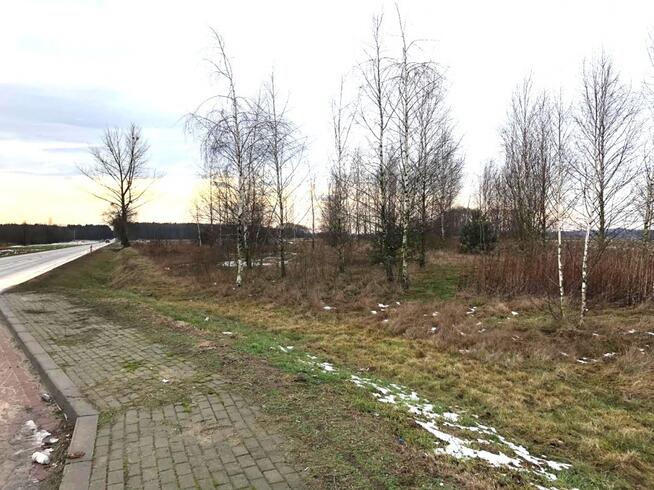 Na sprzedaż działka rolna , 70 km od Warszawy