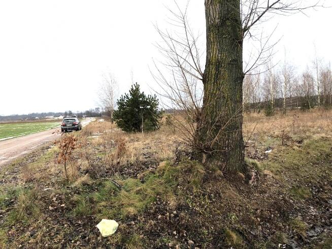 Na sprzedaż działka rolna , 70 km od Warszawy