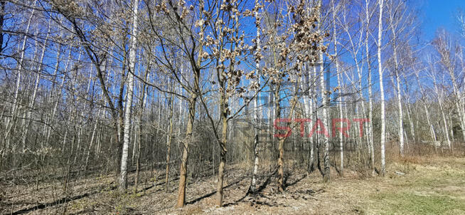 Działka budowlana Adamowizna gm. Grodzisk Mazowiecki,