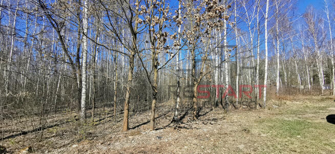 Działka budowlana Adamowizna gm. Grodzisk Mazowiecki,